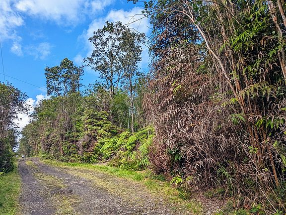 4th image of 16-1395 Road 5 Lot 4043-4044