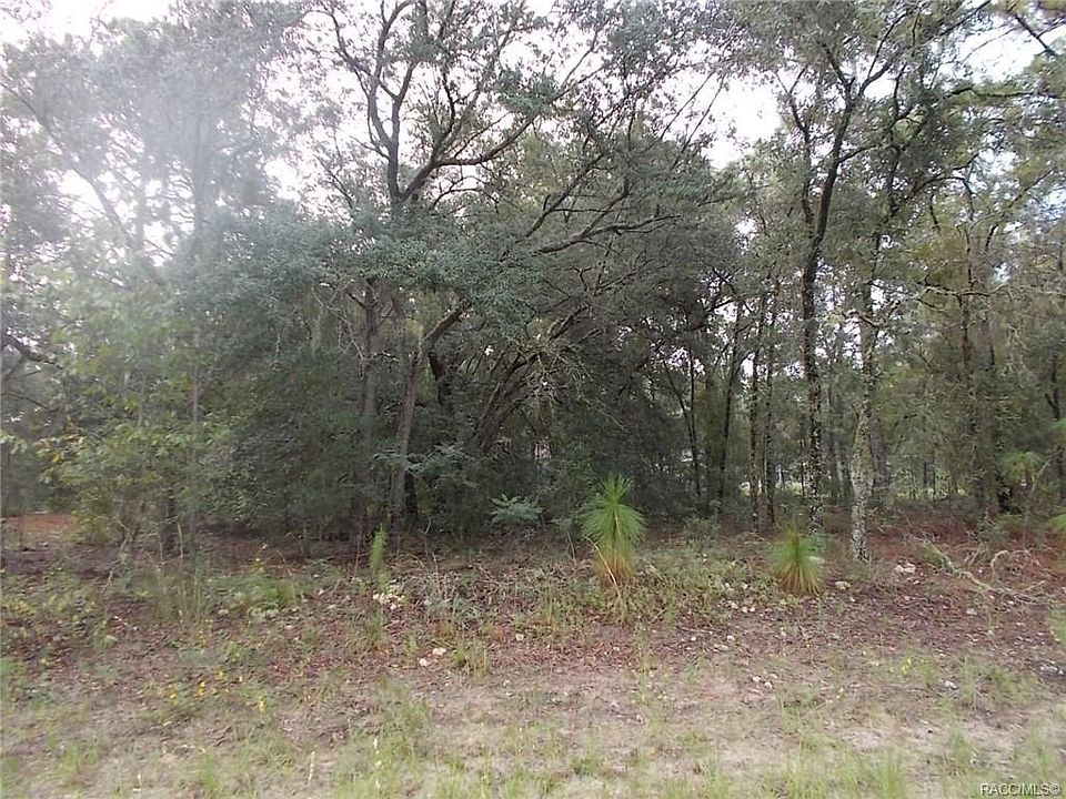 1st image of 2056 W Beach Plum Dr