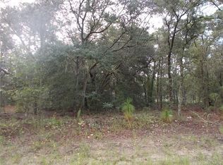 2056 W Beach Plum Dr, Citrus Springs, FL 34434