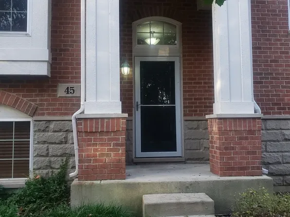 45 Grace Ct #45, Lemont, IL 60439