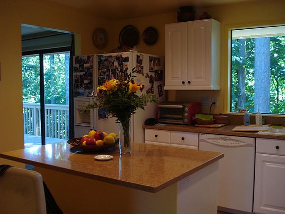Kitchen-view of forest