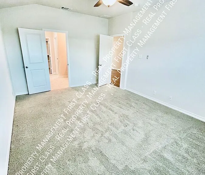 176 Scarlet Macaw — Photo 6