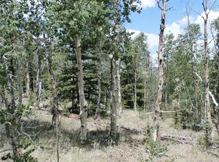 1279 Frees Loop, Hartsel, CO 80449