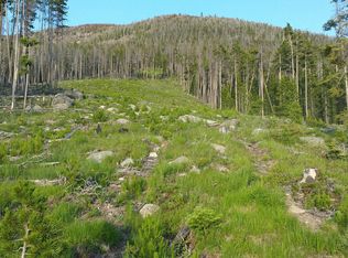 Rimini Road Tbd, Helena, MT 59602