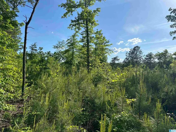 500 Hilltop Ave #23, Warrior, AL 35180