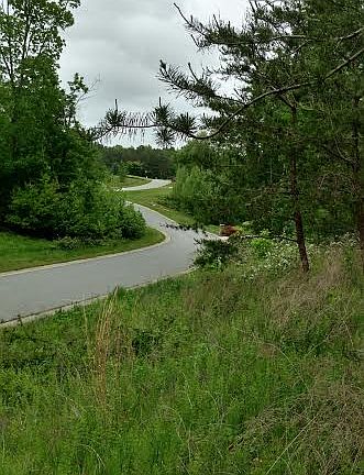 Street view in The Bluffs