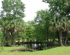 5th image of 3620 SW Wood Creek Trl