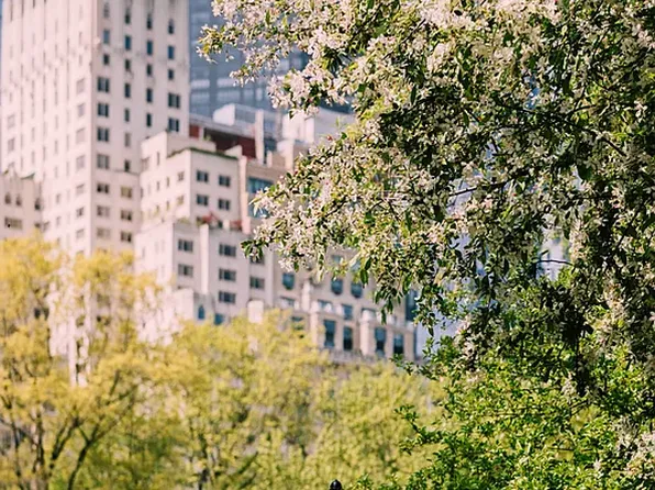 10 West 66th Street image 33 of 35