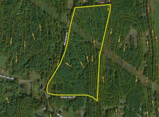 457 Drake Hill Rd LOT WP002, Freehold, NY 12431