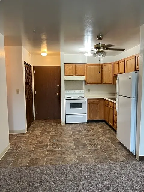 1 bed, 500 sqft, $555 — Photo 1