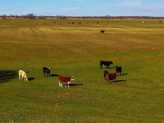 North Furr Ranch - Land for Sale in Young County, TX