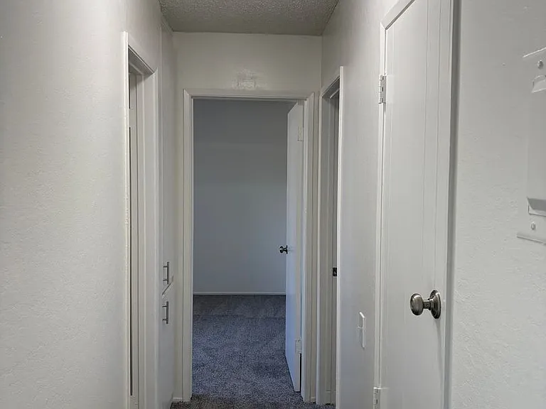 saf2229 — Photo 10