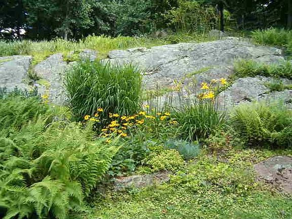 garden