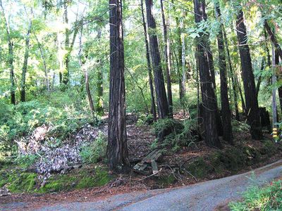 0 Coleman Ave, Felton, CA, 95018