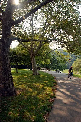 Sold by Owner | media 17