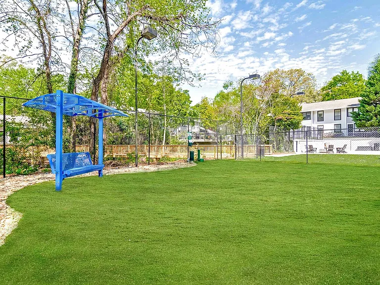 Brand New Dog Park