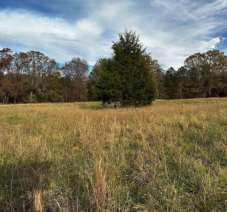 2nd image of 7277 Highway 184 E