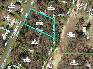 12110 Marvelwood Rd, Weeki Wachee, FL 34614