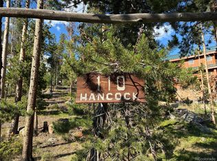 110 Hancock St, Grand Lake, CO 80447