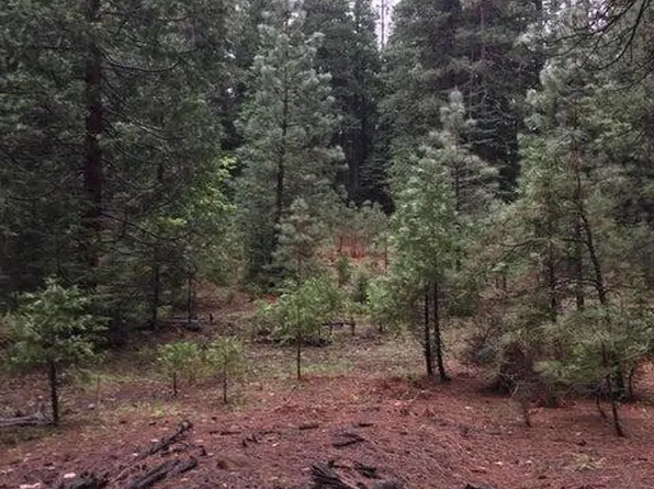 Oak Ln, Shingletown, CA 96088