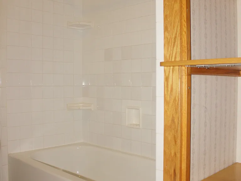 bath, tub and linen closet