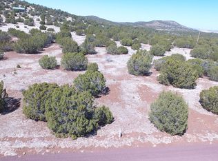 Tbd Park Show Low UNIT 1, Vernon, AZ 85940