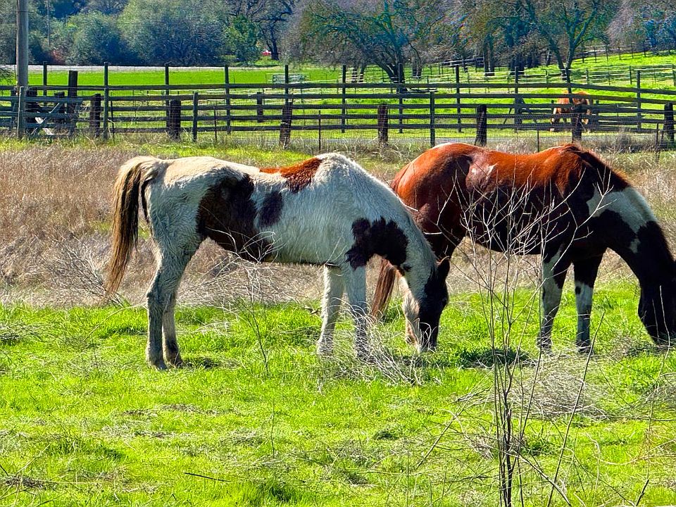 1st image of 9862 Whalen Road