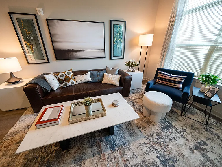 Living Area (B2 Floor Plan Model Apt)