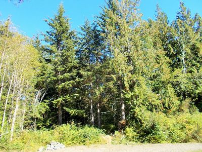 15907 28th Ave NW, Gig Harbor, WA, 98332