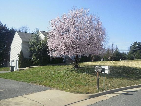 Spring Front and driveway