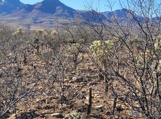 63 Avenida De Las Naciones #10-RIO, Rio Rico, AZ 85648