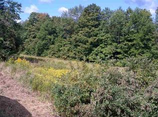 0 Bremer Rd, Gilboa, NY 12076