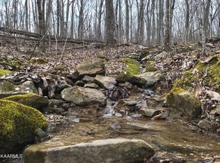 Luminary Firetower Rd, Spring City, TN 37381