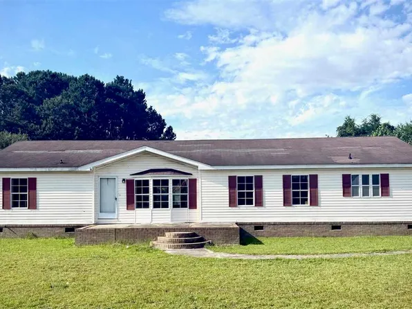 2411 Alligator Rd, Effingham, SC 29541