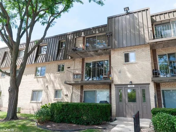 563 Fairway View Dr APT 2F, Wheeling, IL 60090