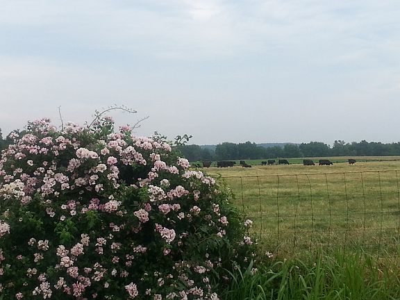 View across the street