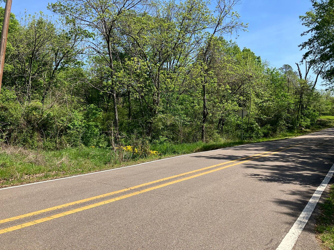 119 North St, Shannon, MS 38868 Zillow