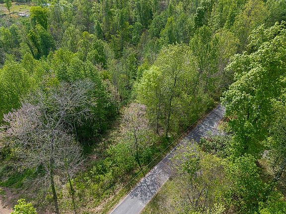 3rd image of LOT 75 Backbone Rd