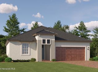 17064 Boxer Palm Ct, Land O Lakes, FL 34638