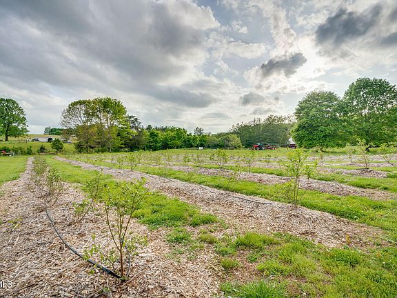 56th image of 147 Britton Ln