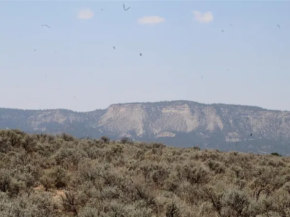 Pajarito Rd, Tierra Amarilla, NM 87575