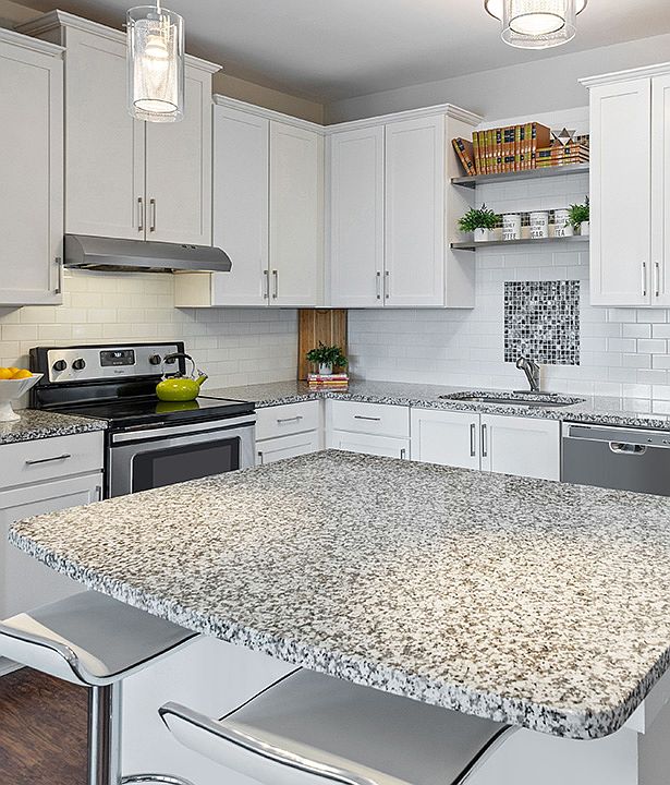 Stainless steel appliances and granite countertops