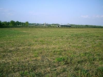 5th image of 141 Chrisman Oaks Trl