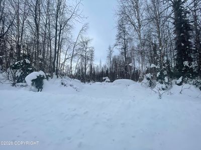 49376 S Cutthroat Dr, Willow, AK, 99688