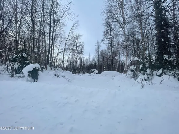 49376 S Cutthroat Dr, Willow, AK 99688