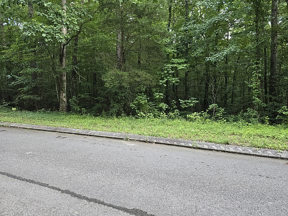 2nd image of 144 Lower Brow Rd