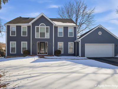 1105 Spring Hill Dr, Algonquin, IL, 60102