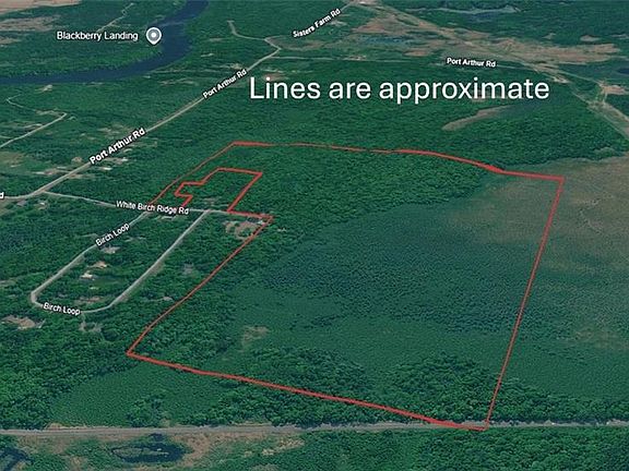 4th image of 96+ Acres on White Birch Ridge Road