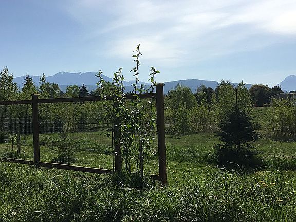 View from front yard