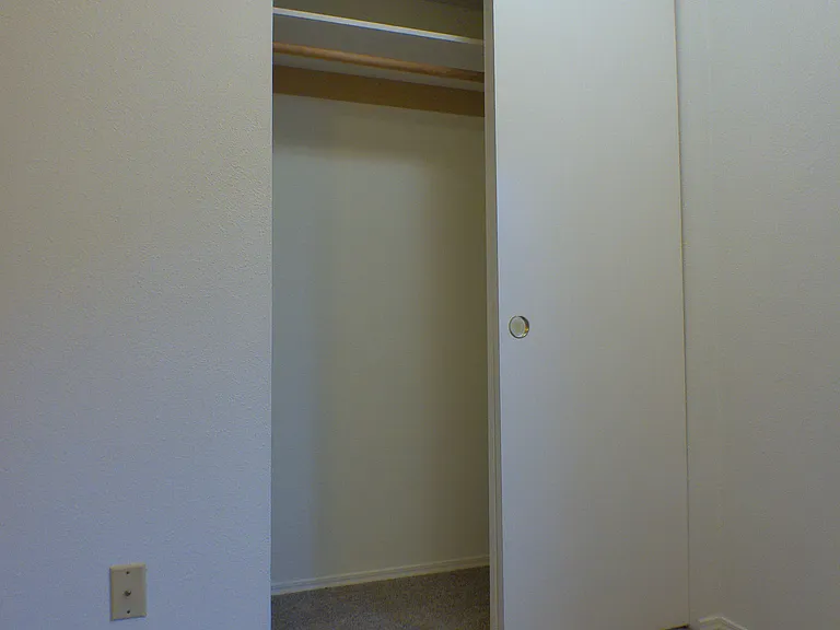 Closet 2 in primary